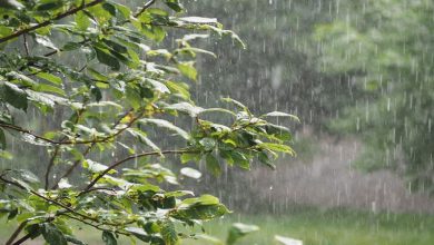 الحوز في المقدمة.. هذه مقاييس الأمطار المسجلة آخر 24 ساعة