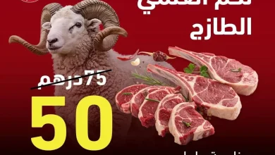 أصبح ب 50 درهم للكيلوغرام.. انخفاض سعر لحم “الحولي الإسباني” في البيضاء