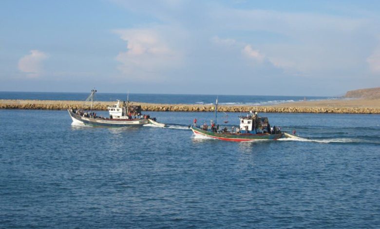 لحماية الحياة البحرية.. المغرب يحدث 5 محميات بحرية جديدة